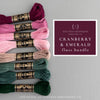 8 DMC flosss skeins - Cranberry and Emerald - curated by And Other Adventures Embroidery Co