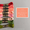 Red, coral, pink, and green colors - embroidery floss budnle by And Other Adventures Embroidery Co