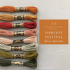 Harvest Festival Floss Bundle - DMC fall color palette by And Other Adventures Embroidery Co