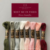 Meet Me In Paris - a wintery embroidery color palette perfect for Christmas, New Year&#39;s, or Valentine&#39;s Day, And Other Adventures Embroidery Co