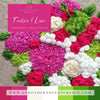 Fuchsia &amp; Lime DMC floss color palette guide by And Other Adventures Embroidery Co