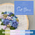 Soft Blues Embroidery Floss Color Palette | And Other Adventures Embroidery Co